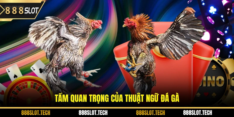 Tầm quan trọng của thuật ngữ đá gà